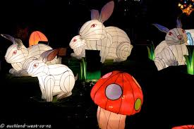 bunny lantern